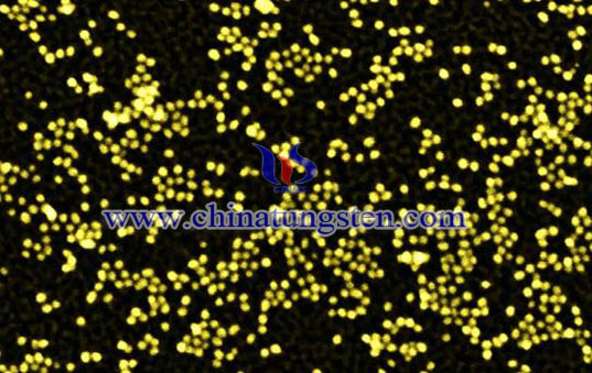 nano image de trioxyde de tungstène