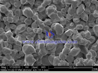  yellow tungsten oxide SEM image-50μm